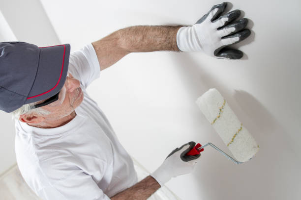 Best Post-Construction Mold Inspection  in Mount Sterling, OH