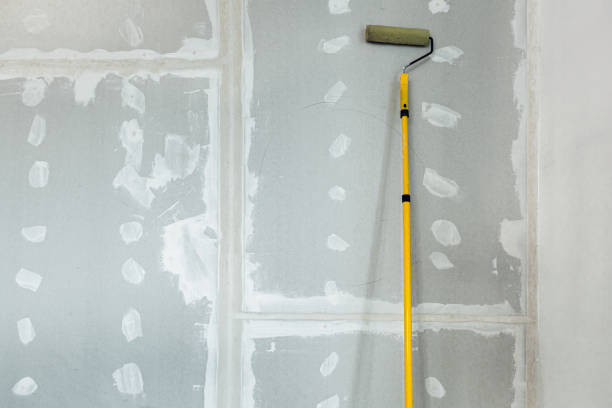 Mount Sterling, OH Mold Removal Company