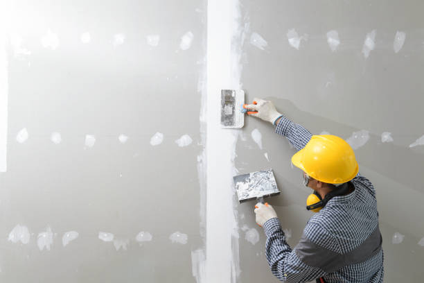 Best Mold Odor Removal Services  in Mount Sterling, OH