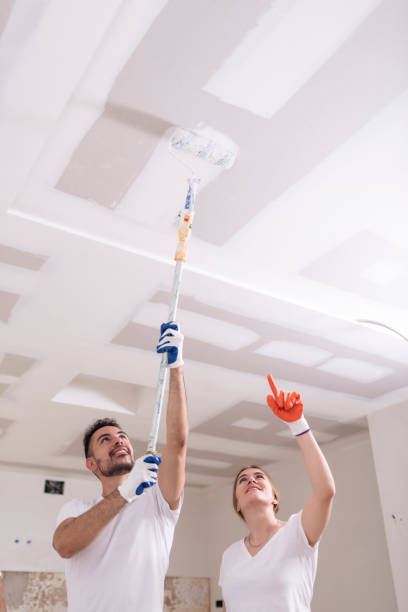  Mount Sterling, OH Mold Removal Pros